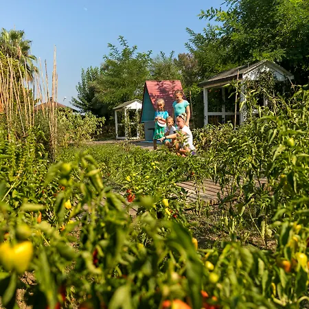 Θέρετρο Marvida Family Eco Σιντέ