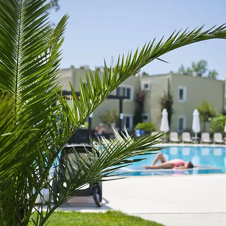 Marvida Family Eco Σιντέ