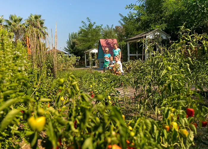 Resort Marvida Family Eco Side