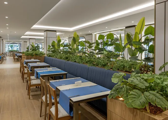 Marvida Family Eco 5* Side