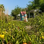 Θέρετρο Marvida Family Eco Σιντέ