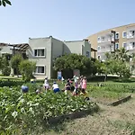 Marvida Family Eco シダ