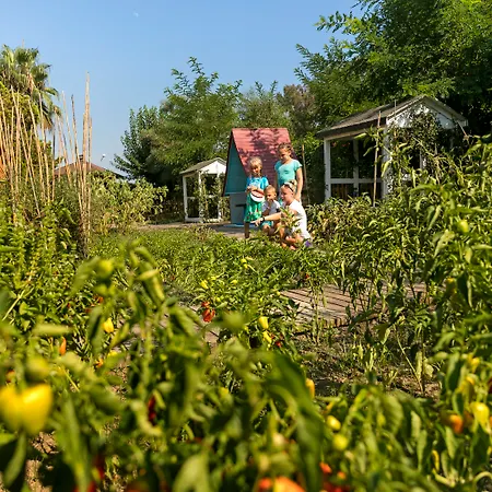 度假村 Marvida Family Eco 锡德