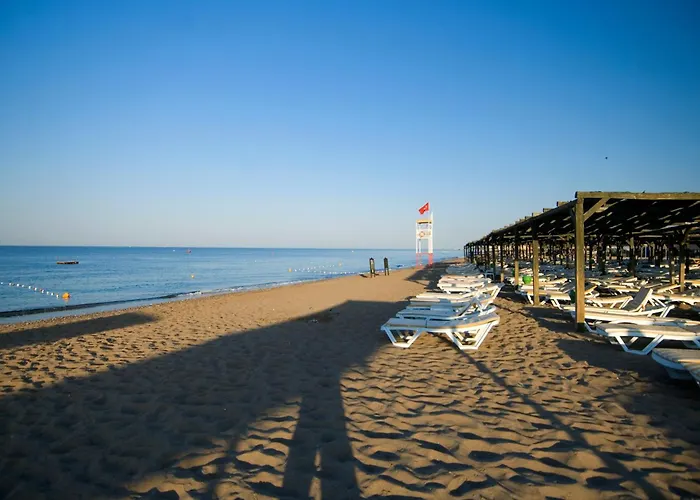 리조트 Marvida Family Eco