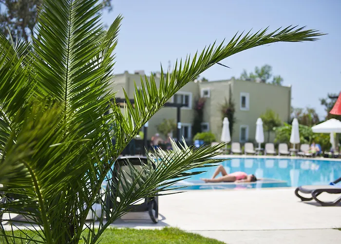 Marvida Family Eco Side