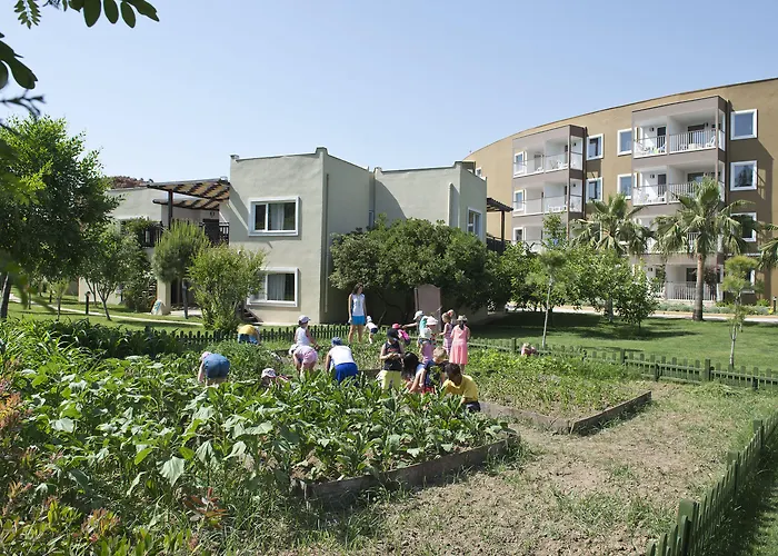 Marvida Family Eco Side